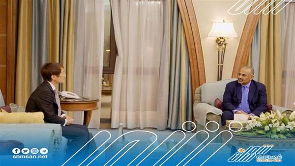الرئيس "الزبيدي"...جهود سياسية ودبلوماسية عقب تشكيل مجلس رئاسي جديد