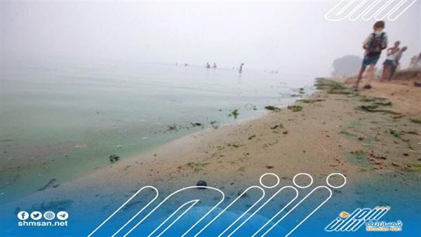 نفوق 100 طن من الأسماك بسبب تلوث نهر أودر في بولندا 