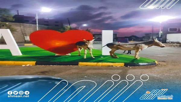 غضب عدني بعد ظهور الحمير في مكان سياحي 