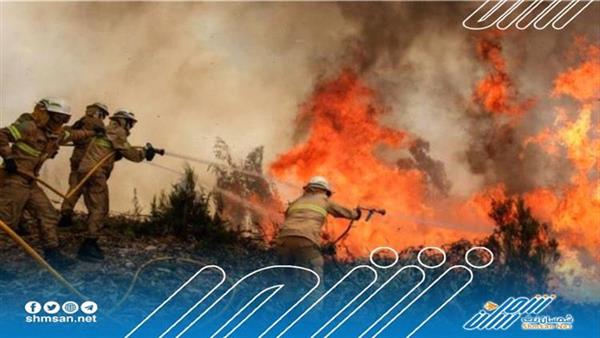 غابات البانيا تشهد حرائق بشكل كثيف بسبب ارتفاع درجة الحرارة 