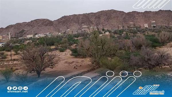 قطعان القرود يهاجمون منطقة يمنية 