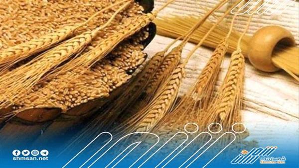 لحل أزمة الغذاء العالمية..تركيا تستضيف محادثات بين روسيا وأوكرانيا