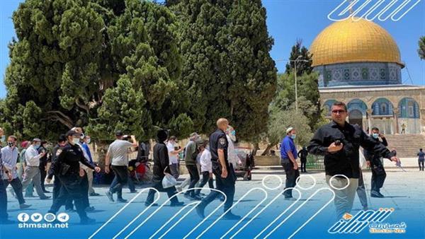 عشرات المستوطنين يقتحمون المسجد الأقصى القدس 