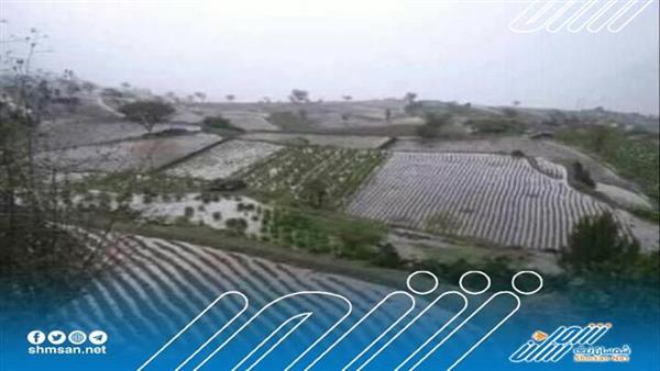 توقعات بهطول أمطار رعدية في عدة مناطق   