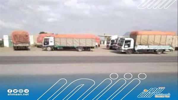 ميليشيا الحوثي تتسبب بتلف كمية من المحاصيل الزراعية والفواكه بمحافظة الحديدة 