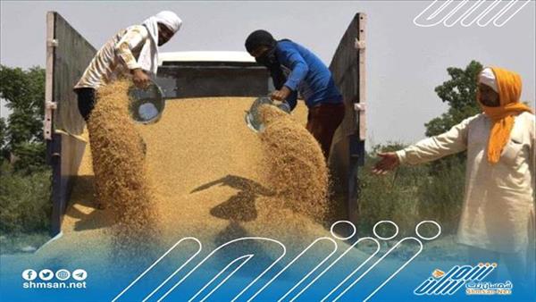 الحكومة تقوم بهذا لتغطية العجز الناتج عن عرقلة تصدير القمح من روسيا وأوكرانيا