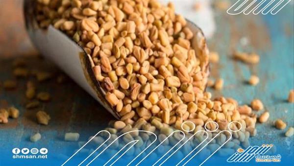 فوائد قد لا تصدقها عن الحلبة .. تعرف عليها 