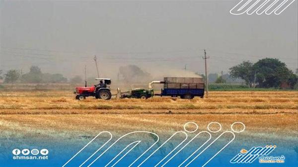 رسمياً الهند تتراجع عن قرار حظر تصدير القمح إلى اليمن