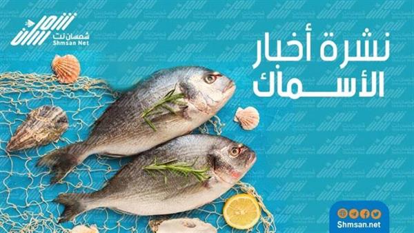أسعار الأسماك في أسواق العاصمة عدن 
