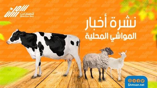 نشره اسعار المواشي والاغنام المحلية في أسواق العاصمة عدن 