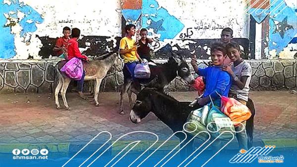 الامن يعدم حمار في عدن لهذا السبب
