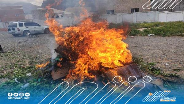 صور / القات يواجه مصيره المحتوم في سقطرى 