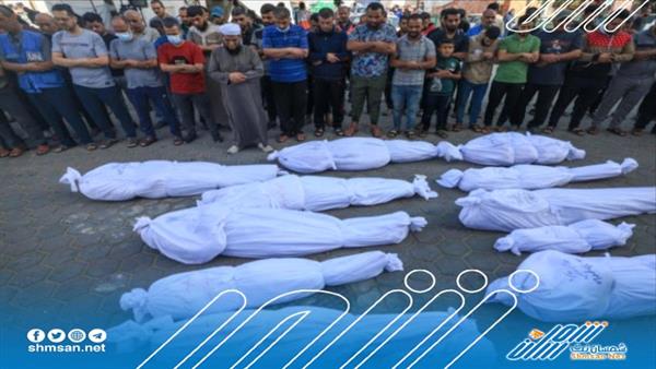 عاجل/ الاحتلال يرتكب مجزرة بحق آلاف الابرياء الجائعين كانوا ينتظرون مساعدات إغاثية جنوب غزة 