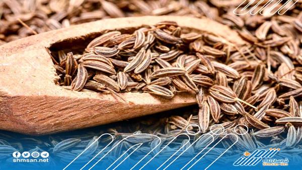 إليك مشروب يخلصك من دهون البطن 