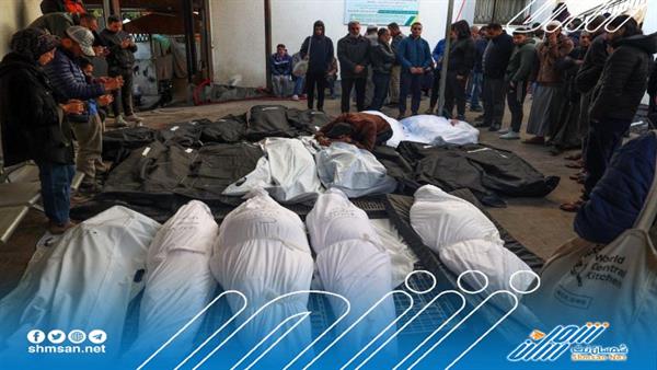 الاحتلال ارتكب أبشع المجازر على مر التاريخ "مجزرة شارع الرشيد"