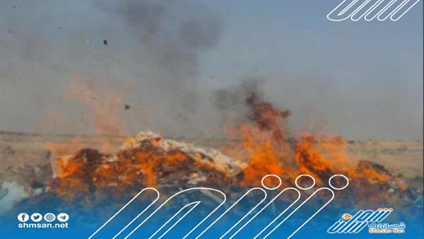 نيابة الصناعة والتجارة تتلف 1450 كرتون جبن منتهي الصلاحية في العاصمة عدن 