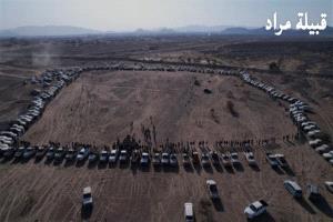 مأرب.. قبائل مراد ترحب بـ "رؤية الزبيدي" وتدعو لتوحيد الصف مع الجنوب